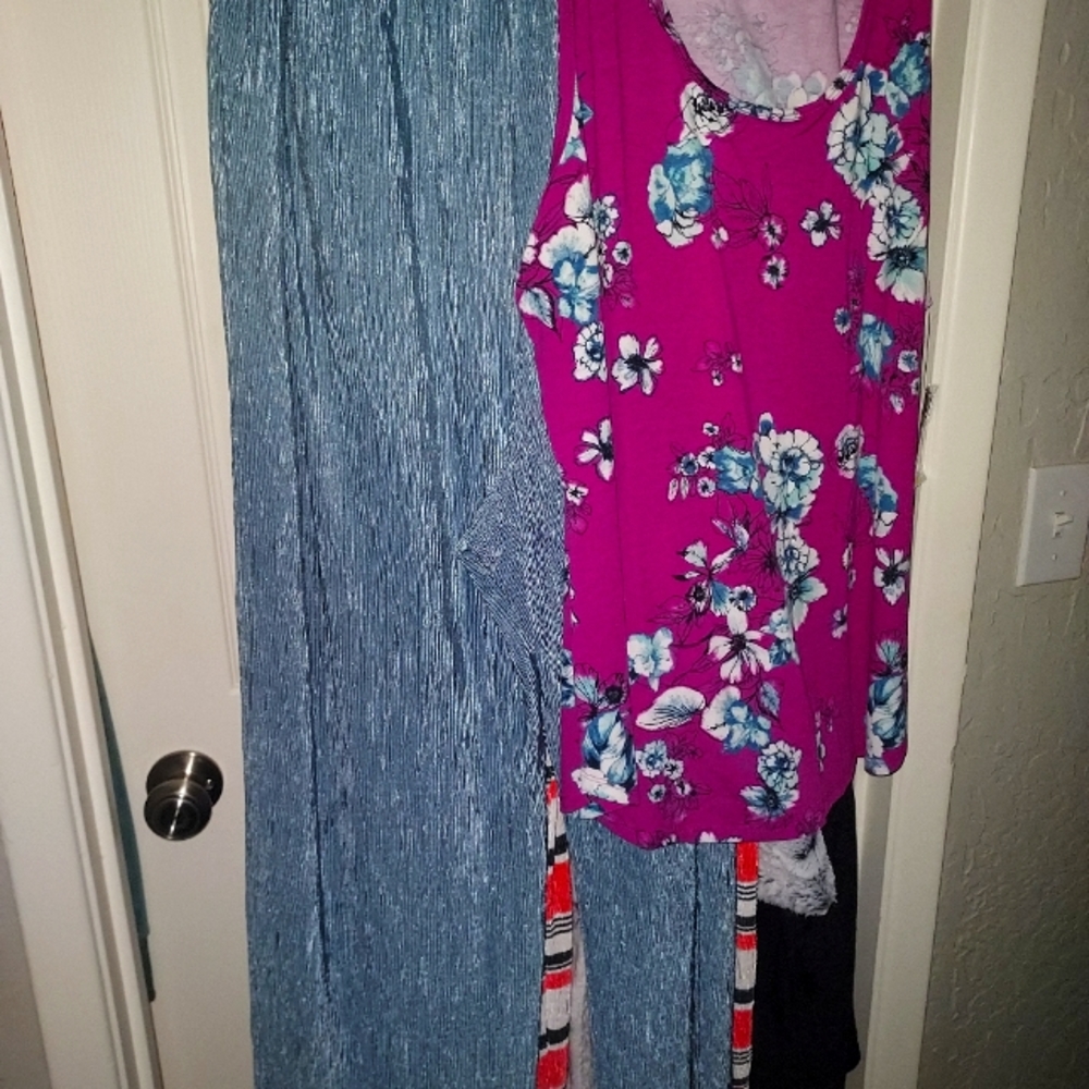 Lularoe outfit dianne pants and tank top